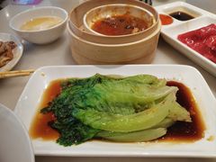 -金鼎轩(方庄天坛店)
