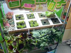 -艾克瑞特AI机器人·少儿编程·STEAM教育(万达校区)