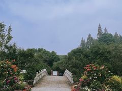-苏州上方山国家森林公园