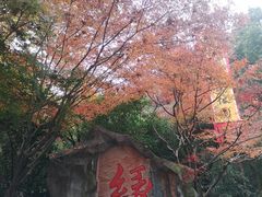 -杭州黄龙洞