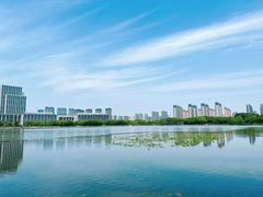 -尚贤河湿地
