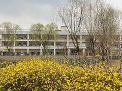 -古塔公园