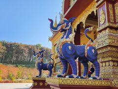 -西双版纳勐泐文化旅游区