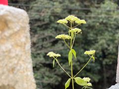 -将军关探险漂流