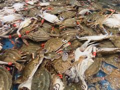 飞蟹-钱库里海鲜自助(星海广场店)