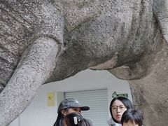 -马灯部落·西湖边的创意山景餐厅(虎跑动物园店)