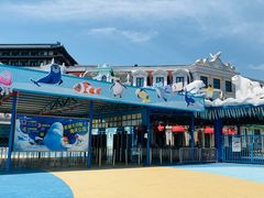 -芜湖新华联大白鲸海洋公园