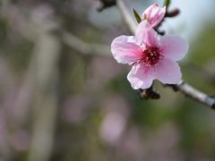 -白塘生态植物园
