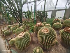 -北京植物园-展览温室