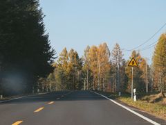 -五营国家森林公园