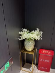 -CRAIE可瑞医美式医美·111SKIN