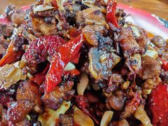 -柴窝堡22号辣子鸡·传承新疆菜