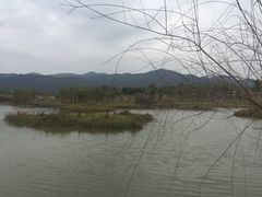 -天适樱花悠乐园