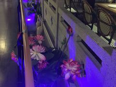 大堂-十二饭点·川菜(北站圆融店)