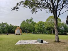 -长兴太湖图影湿地文化园