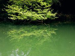 -清远鱼水旅游风景度假区
