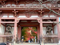 -醍醐寺