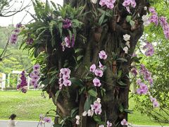 -云溪植物园