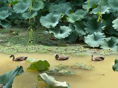 -浙江农林大学(东湖校区)