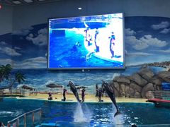 -福州罗源湾海洋世界旅游区