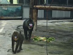 -鄂尔多斯野生动物园