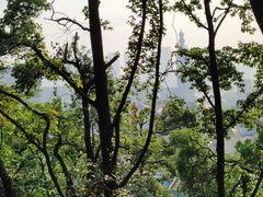 -岳麓山风景名胜区