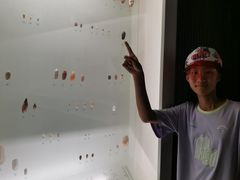 -青岛贝壳博物馆