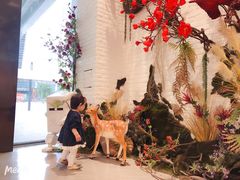 -大族广场Mall&More