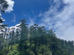 -瓦屋山景区