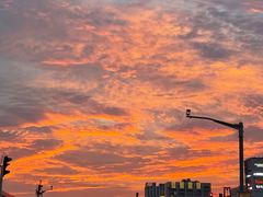 -HONGA HONGA雄家(曹路店)