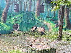 -碧峰峡风景区