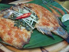 -雀舞云南菜(天津天河城购物中心店)