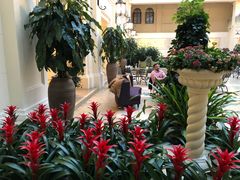 -利顺德大饭店·维多利亚花园(小白楼店)