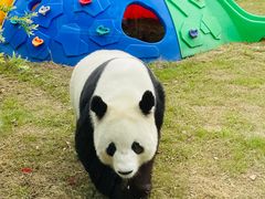 -苏州太湖国家湿地公园