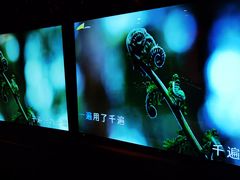 -唐会KTV(群力店)
