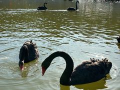 -水上乐园·欢乐世界