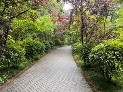 -虞山风景区