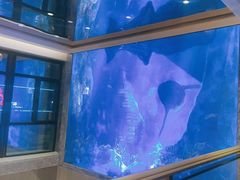 -鑫复盛皇嘉海鲜酒店