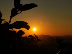-火炉山森林公园