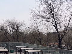 -無用生活空间(北京店)