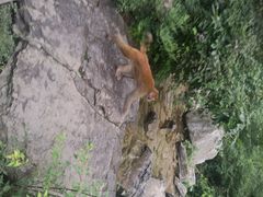 android_upload_pic-云台山风景名胜区