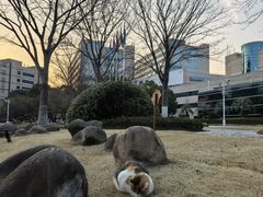 -亚马逊蒸汽活海鲜自助(LCM置汇旭辉广场店)