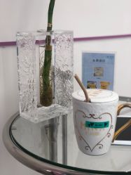 -MINX名珂斯·烫染形象设计