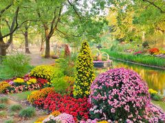 -上海共青森林公园