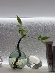 -薇薇安花系SPA