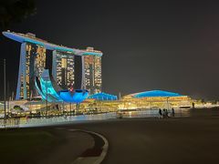 -新加坡丽思卡尔顿美年酒店