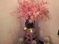 -Dragonfly悠庭·按摩Spa(静安嘉里中心店)