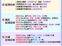 -日照灯塔风景区