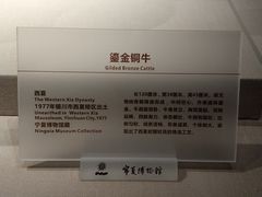 -宁夏博物馆