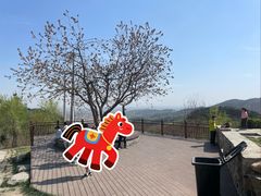 -周口店北京人遗址公园